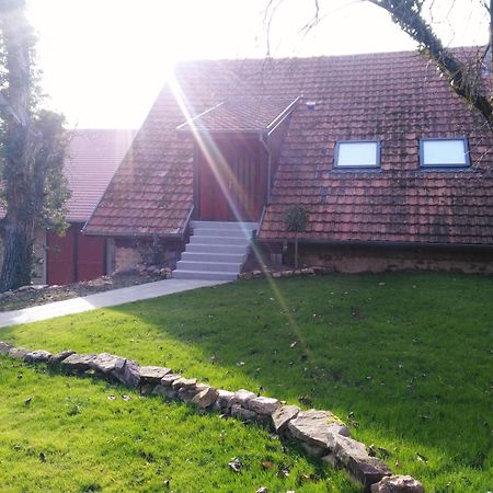 Joli gîte F2 indépendant avec jardin privé Rouffach Exterior foto