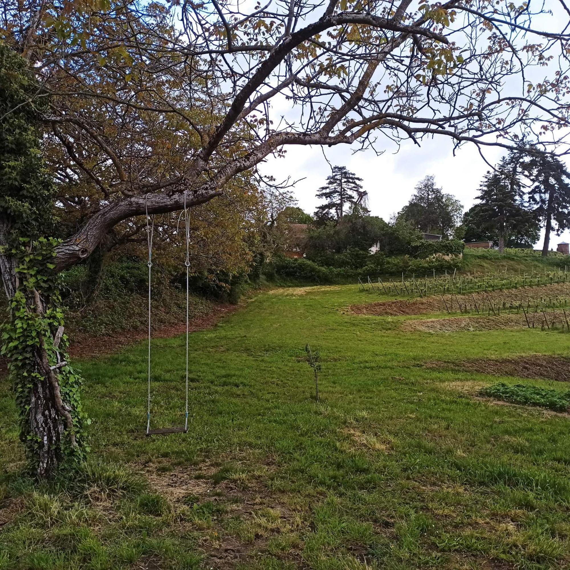 Joli gîte F2 indépendant avec jardin privé Rouffach Exterior foto