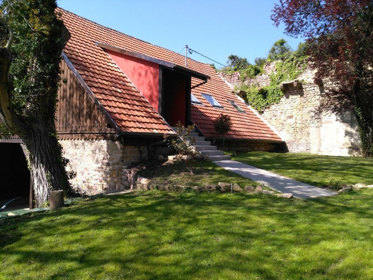 Joli gîte F2 indépendant avec jardin privé Rouffach Exterior foto